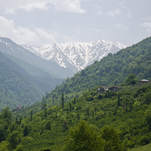 کسب و کارهای صنعت کاغذ، کارتن و مقوای مازندران