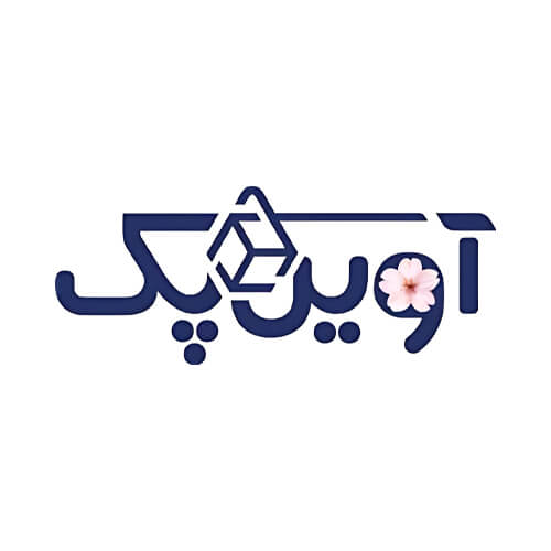 کارتن سازی آوین پک